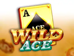 wild ace wildace